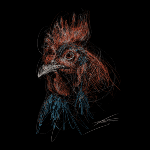 Vogels - Haan
