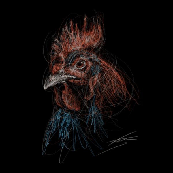 Vogels - Haan