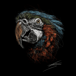Vogels - Ara