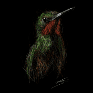 Vogels - Braziliaanse robijnkolibrie