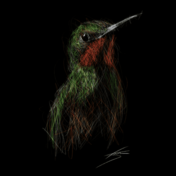 Vogels - Braziliaanse robijnkolibrie