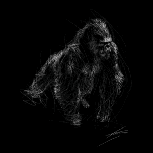 Gorilla