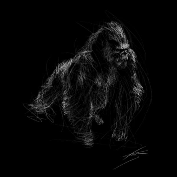 Gorilla