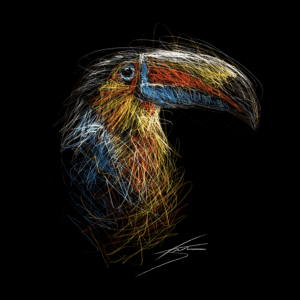 Vogels - Toekan
